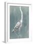 Egret on Azure II-Emma Caroline-Framed Art Print