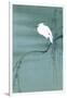 Egret on Branch-null-Framed Art Print