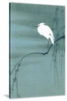 Egret on Branch-null-Stretched Canvas