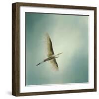 Egret Overhead-Jai Johnson-Framed Premium Giclee Print