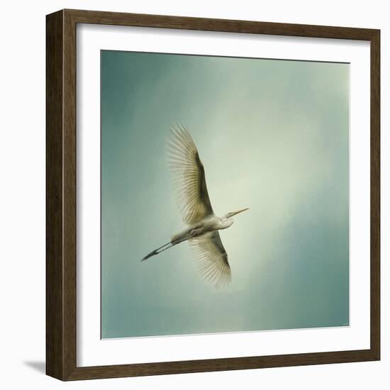 Egret Overhead-Jai Johnson-Framed Premium Giclee Print