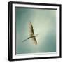 Egret Overhead-Jai Johnson-Framed Premium Giclee Print