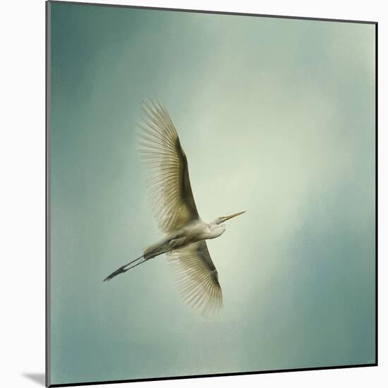 Egret Overhead-Jai Johnson-Mounted Premium Giclee Print