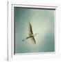 Egret Overhead-Jai Johnson-Framed Giclee Print