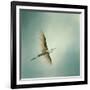 Egret Overhead-Jai Johnson-Framed Giclee Print