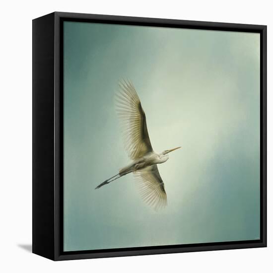 Egret Overhead-Jai Johnson-Framed Stretched Canvas