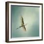 Egret Overhead-Jai Johnson-Framed Giclee Print