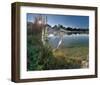 Egret Sunrise-Steve Hunziker-Framed Art Print