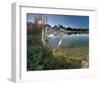 Egret Sunrise-Steve Hunziker-Framed Art Print