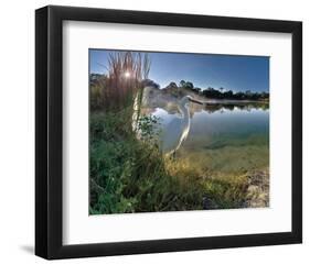 Egret Sunrise-Steve Hunziker-Framed Art Print