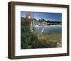 Egret Sunrise-Steve Hunziker-Framed Art Print