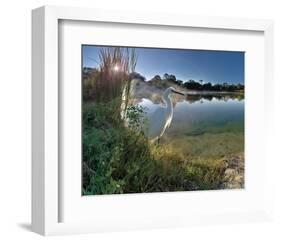 Egret Sunrise-Steve Hunziker-Framed Art Print