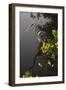 Egret-null-Framed Photographic Print