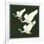 Egrets Alighting II on Green-Kathrine Lovell-Framed Art Print