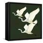 Egrets Alighting II on Green-Kathrine Lovell-Framed Stretched Canvas