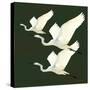 Egrets Alighting II on Green-Kathrine Lovell-Stretched Canvas