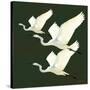 Egrets Alighting II on Green-Kathrine Lovell-Stretched Canvas