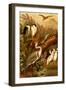 Egrets and Cranes-F.W. Kuhnert-Framed Art Print