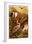 Egrets and Cranes-F.W. Kuhnert-Framed Art Print