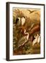 Egrets and Cranes-F.W. Kuhnert-Framed Art Print