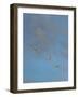Egrets-Michael Jackson-Framed Giclee Print