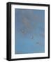 Egrets-Michael Jackson-Framed Giclee Print