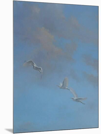 Egrets-Michael Jackson-Mounted Giclee Print