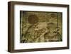 Egypt, Abydos, Stone Carvings of Seti I-Claudia Adams-Framed Photographic Print