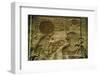 Egypt, Abydos, Stone Carvings of Seti I-Claudia Adams-Framed Photographic Print