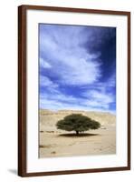 Egypt Acacia Tree in Arabian Desert-Andrey Zvoznikov-Framed Photographic Print