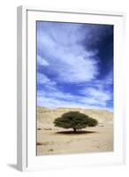 Egypt Acacia Tree in Arabian Desert-Andrey Zvoznikov-Framed Photographic Print