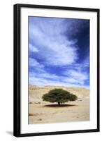 Egypt Acacia Tree in Arabian Desert-Andrey Zvoznikov-Framed Photographic Print