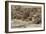 Egypt, Alexandria, Ruins of the Roman Baths at Kom Al-Dik-null-Framed Giclee Print