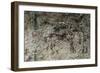 Egypt, Amarna, Tell El-Amarna, Necropolis, Tomb of Merire, Relief Depicting Chariot Race-null-Framed Giclee Print