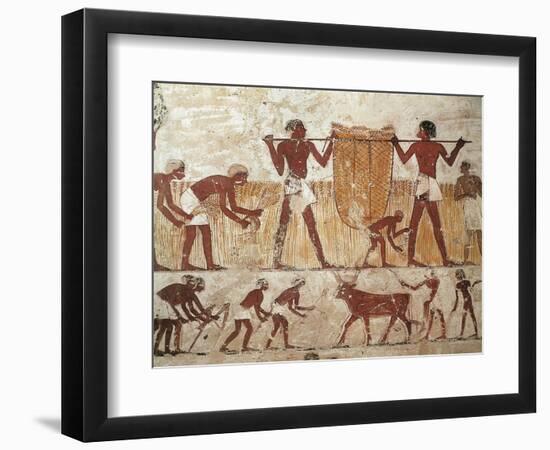 Egypt, Ancient Thebes, Shaykh 'Abd Al-Qurnah, Mural of Farmers at Work-null-Framed Giclee Print