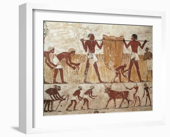 Egypt, Ancient Thebes, Shaykh 'Abd Al-Qurnah, Mural of Farmers at Work-null-Framed Giclee Print