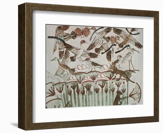Egypt, Ancient Thebes, Shaykh 'Abd Al-Qurnah, Mural of Marshland Fowl and Cats at Tomb of Menna-null-Framed Giclee Print