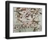 Egypt, Ancient Thebes, Shaykh 'Abd Al-Qurnah, Mural of Marshland Fowl and Cats at Tomb of Menna-null-Framed Giclee Print