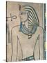 Egypt, Ancient Thebes, Valley of the Kings, Mural of Pharaoh Amenhotep III-null-Stretched Canvas