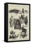 Egypt as it Is, Bedouin Sketches-Charles Auguste Loye-Framed Stretched Canvas