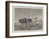 Egypt as it Is, Ploughing in Lower Egypt-Charles Auguste Loye-Framed Giclee Print