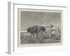 Egypt as it Is, Ploughing in Lower Egypt-Charles Auguste Loye-Framed Giclee Print