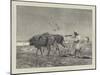 Egypt as it Is, Ploughing in Lower Egypt-Charles Auguste Loye-Mounted Giclee Print