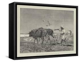 Egypt as it Is, Ploughing in Lower Egypt-Charles Auguste Loye-Framed Stretched Canvas