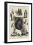 Egypt as it Is-Charles Auguste Loye-Framed Giclee Print