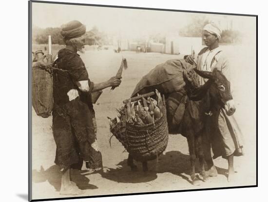 Egypt - Buying Corn from a Donkey's Panniers-null-Mounted Photographic Print