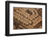 Egypt, Cairo, Aerial Shot, Apartment Blocks-Catharina Lux-Framed Photographic Print