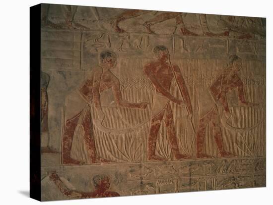 Egypt, Cairo, Ancient Memphis, Saqqara, Relief of Farmers at Work-null-Stretched Canvas