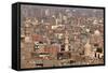 Egypt, Cairo, Citadel, View at Islamic Old Town-Catharina Lux-Framed Stretched Canvas