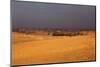 Egypt, Cairo, Giza, Desert, Evening Light-Catharina Lux-Mounted Photographic Print